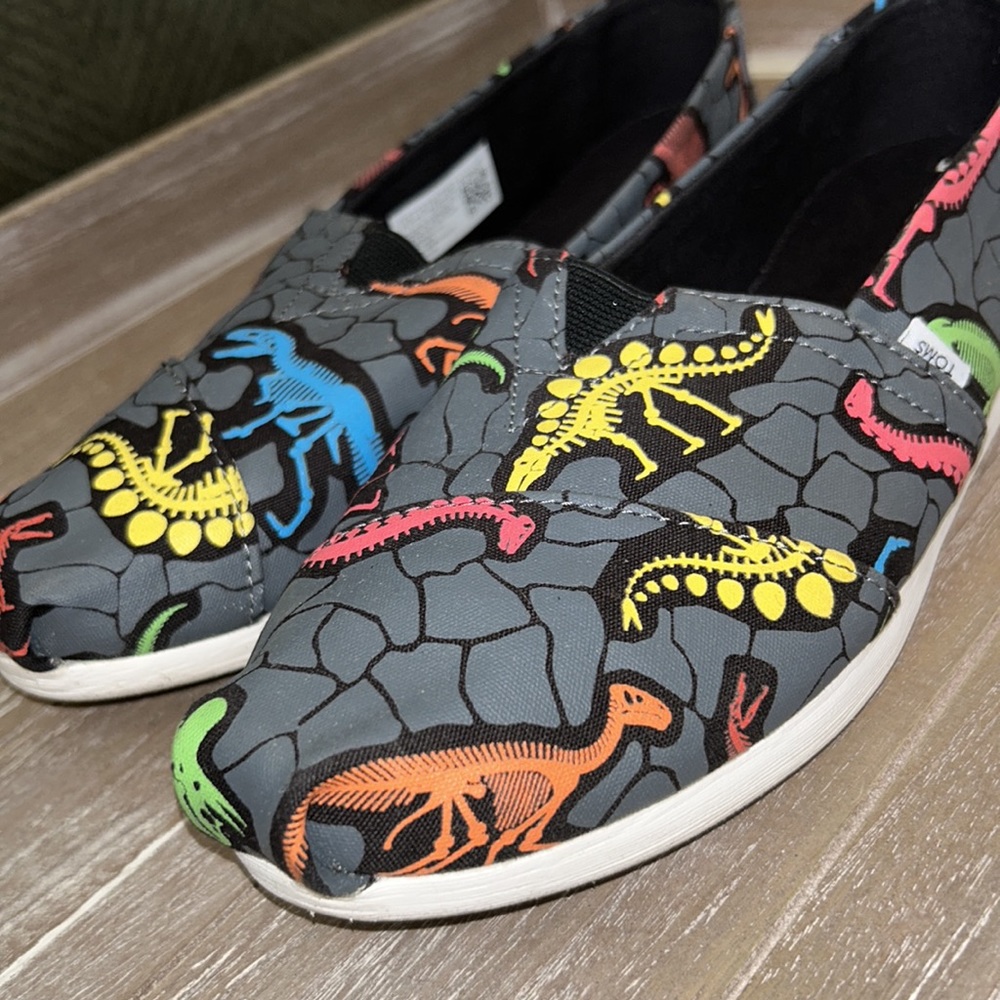 Toms Dinosaur Glow in the Dark Slip Ons